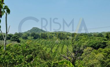 RANCHO CON TODAS LAS INSTALACIONES DE UNA  EMPACADORA DE LIMÓN.