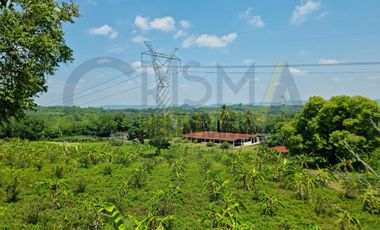 RANCHO CON TODAS LAS INSTALACIONES DE UNA  EMPACADORA DE LIMÓN.