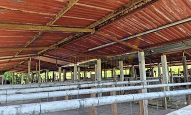 RANCHO CON TODAS LAS INSTALACIONES DE UNA  EMPACADORA DE LIMÓN.