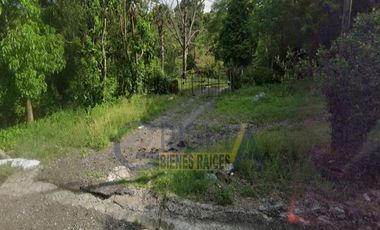 RANCHO CON TODAS LAS INSTALACIONES DE UNA  EMPACADORA DE LIMÓN.