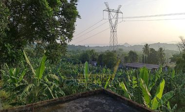 RANCHO CON TODAS LAS INSTALACIONES DE UNA  EMPACADORA DE LIMÓN.