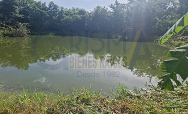 RANCHO CON TODAS LAS INSTALACIONES DE UNA  EMPACADORA DE LIMÓN.