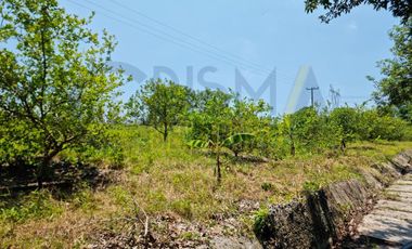 RANCHO CON TODAS LAS INSTALACIONES DE UNA  EMPACADORA DE LIMÓN.