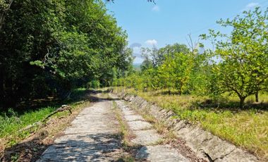 RANCHO CON TODAS LAS INSTALACIONES DE UNA  EMPACADORA DE LIMÓN.