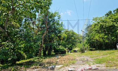 RANCHO CON TODAS LAS INSTALACIONES DE UNA  EMPACADORA DE LIMÓN.
