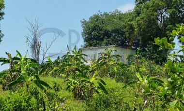 RANCHO CON TODAS LAS INSTALACIONES DE UNA  EMPACADORA DE LIMÓN.