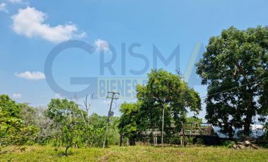 RANCHO CON TODAS LAS INSTALACIONES DE UNA  EMPACADORA DE LIMÓN.
