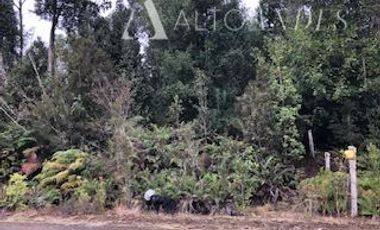 Sitio en Venta en Camino a la Colonia Ruta V-615, km 11,3, Puerto Montt
