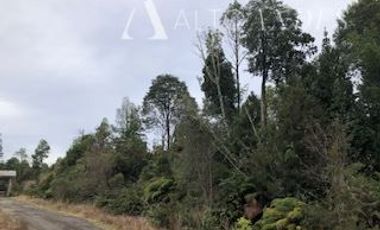Sitio en Venta en Camino a la Colonia Ruta V-615, km 11,3, Puerto Montt
