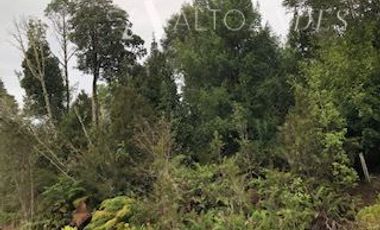 Sitio en Venta en Camino a la Colonia Ruta V-615, km 11,3, Puerto Montt