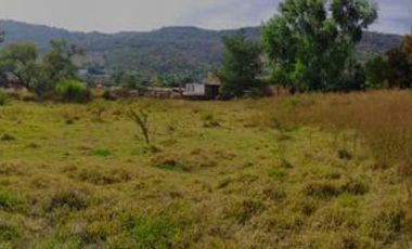 Excelente terreno en renta en Queréndaro