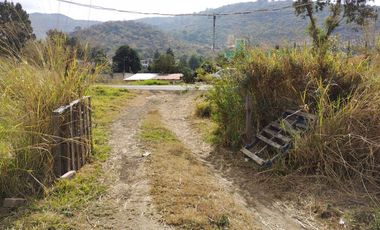 Excelente terreno en renta en Queréndaro