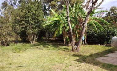 Excelente terreno en renta en Queréndaro