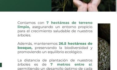 Huerta en Venta en Acuitzio del Canje