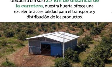 Huerta en Venta en Acuitzio del Canje
