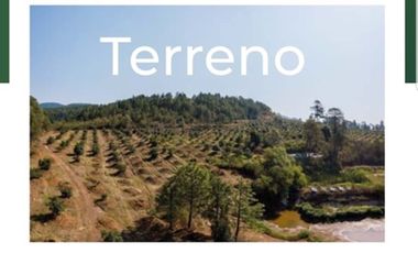 Huerta en Venta en Acuitzio del Canje