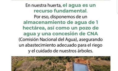 Huerta en Venta en Acuitzio del Canje