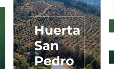 Huerta en Venta en Acuitzio del Canje