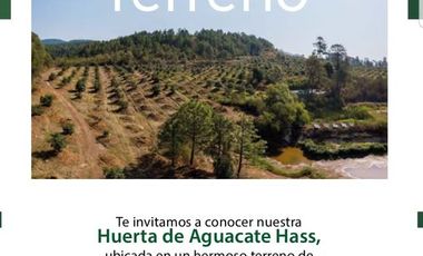 Huerta en Venta en Acuitzio del Canje