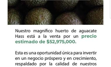 Huerta en Venta en Acuitzio del Canje