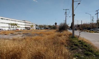 TERRENO EN RENTA SOBRE BOULEVARD RODRIGUEZ TRIANA EN TORREÓN, COAHUILA
