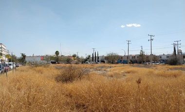 TERRENO EN RENTA SOBRE BOULEVARD RODRIGUEZ TRIANA EN TORREÓN, COAHUILA