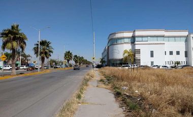 TERRENO EN RENTA SOBRE BOULEVARD RODRIGUEZ TRIANA EN TORREÓN, COAHUILA