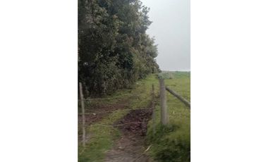 Se vende Finca Tausa la pluma , Sobre via Principal 12 fanegadas