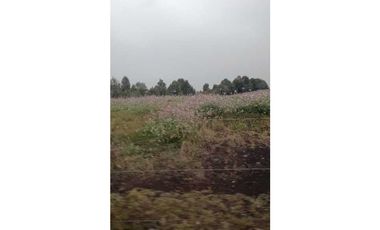 Se vende Finca Tausa la pluma , Sobre via Principal 12 fanegadas