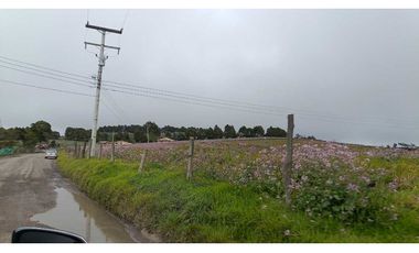 Se vende Finca Tausa la pluma , Sobre via Principal 12 fanegadas