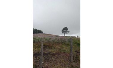 Se vende Finca Tausa la pluma , Sobre via Principal 12 fanegadas