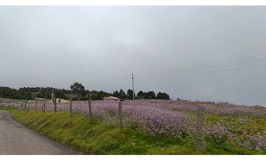 Se vende Finca Tausa la pluma , Sobre via Principal 12 fanegadas