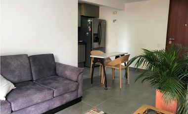 APARTAESTUDIO EN ARRIENDO SECTOR LOS BALSOS