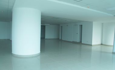 ALQUILER-VENTA OFICINA 244 m2($10XM2) PUNTA PACIFICA TORRE OCEANIA MC