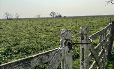 Campo en venta en Ranchos. 215 Has. mixto