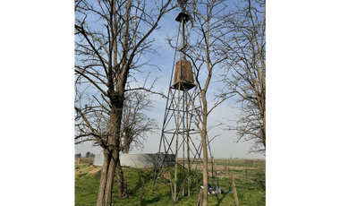 Campo en venta en Ranchos. 215 Has. mixto