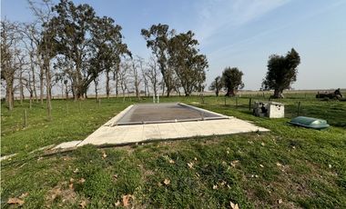 Campo en venta en Ranchos. 215 Has. mixto
