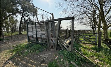 Campo en venta en Ranchos. 215 Has. mixto