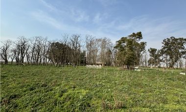 Campo en venta en Ranchos. 215 Has. mixto