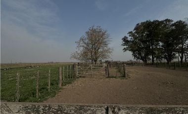Campo en venta en Ranchos. 215 Has. mixto