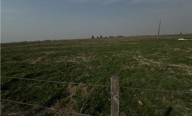 Campo en venta en Ranchos. 215 Has. mixto