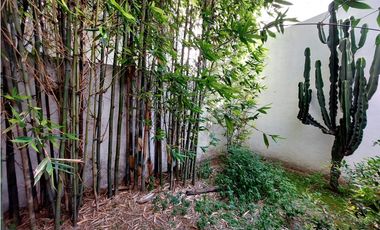 Casa En Renta Zavaleta y Camino Real a Cholula para oficina