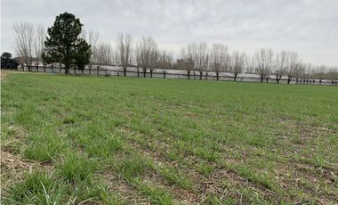 Granja Avícola en Carlos Keen-Luján. 9 galpones Automáticos en 13 Has.