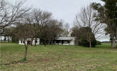 Granja Avícola en Carlos Keen-Luján. 9 galpones Automáticos en 13 Has.
