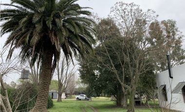Granja Avícola en Carlos Keen-Luján. 9 galpones Automáticos en 13 Has.