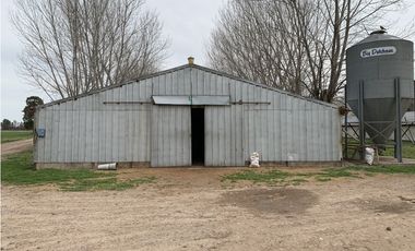 Granja Avícola en Carlos Keen-Luján. 9 galpones Automáticos en 13 Has.