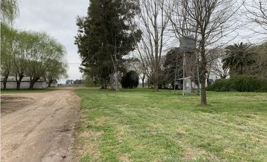 Granja Avícola en Carlos Keen-Luján. 9 galpones Automáticos en 13 Has.