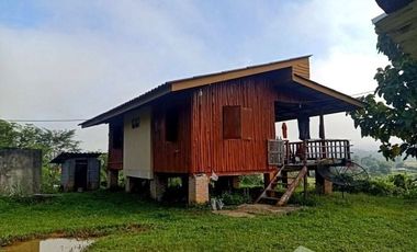 Land for sale in Sai Khao, Chiang Rai