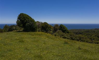 Parcela en Venta en Fundo en Hua Huar