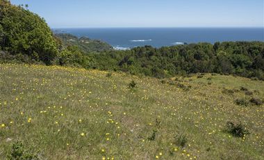 Parcela en Venta en Fundo en Hua Huar